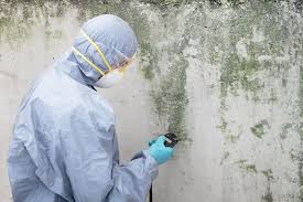 Best Biohazard Mold Removal  in Lake Bluff, IL